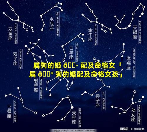 属狗的婚 🌷 配及命格女「属 💮 狗的婚配及命格女孩」